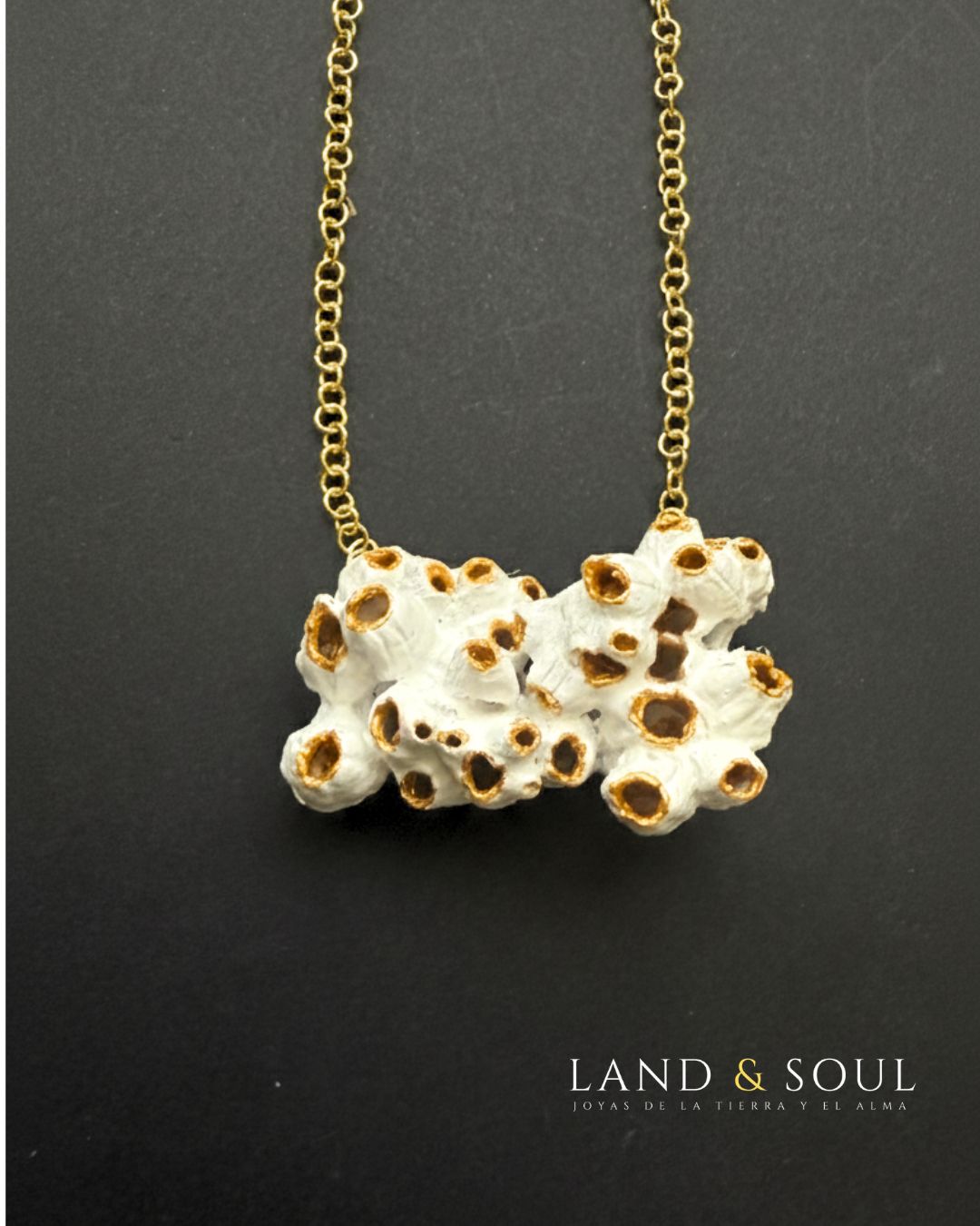 Collar barnacles peq 4cm