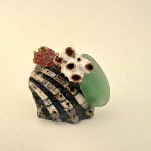 Anillo Barnacles Concha Gris